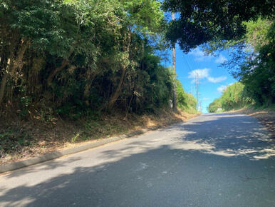 前面道路となります。