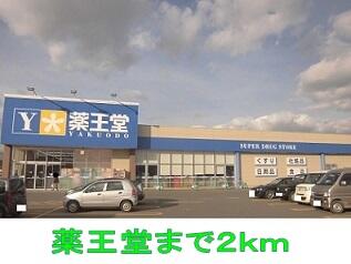 薬王堂