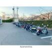 共有部分