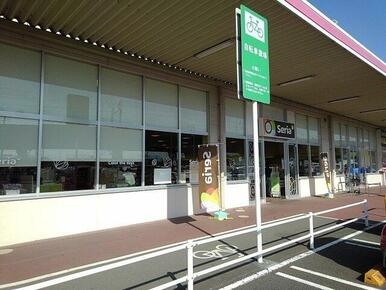 セリア　マックスバリュ江尾店まで800m