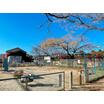 公園
