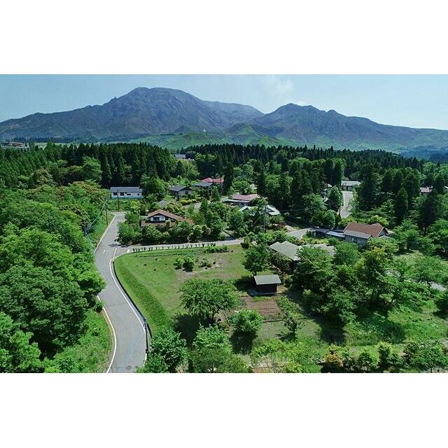 現地から根子岳を望む