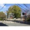 公園