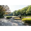 公園