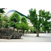 公園
