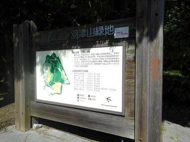 垂坂公園･羽津山緑地