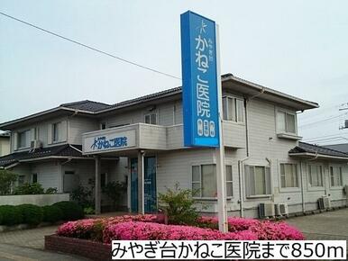 みやぎ台かねこ医院