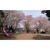 公園