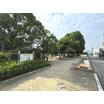 公園