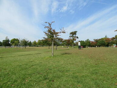 中田中央公園運動広場