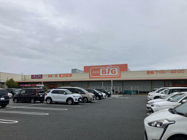 ビック山梨中央店