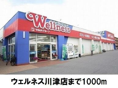 ウェルネス川津店