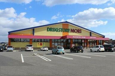 ドラッグストアモリまで4100m