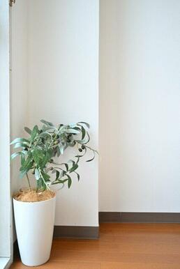 ※家具・小物はイメージです