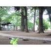 公園