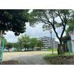 公園
