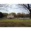 公園