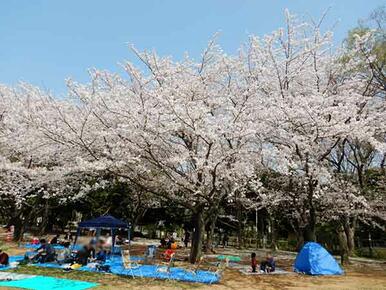 行田公園