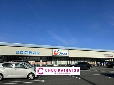 カワチ薬品北上店