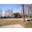 公園