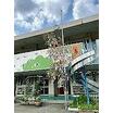 幼稚園、保育園