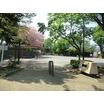 公園