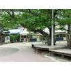 幼稚園、保育園
