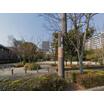 公園