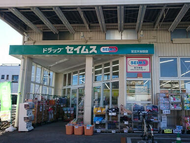 ドラッグセイムス大谷田店