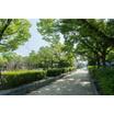 公園