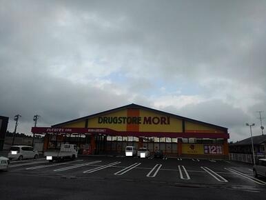 ドラッグストアモリ小林店