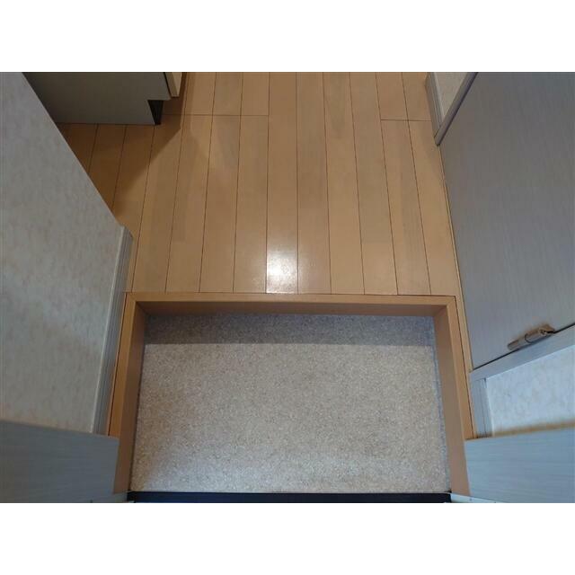 ２０２４年の参考写真です