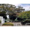 公園