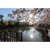 公園