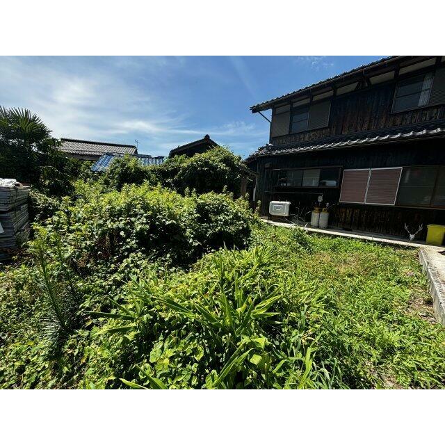 庭