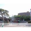 大学