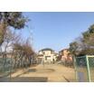 公園