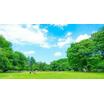 公園