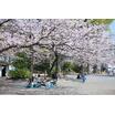 公園