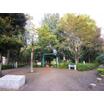 公園