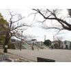 公園