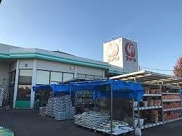 コメリ美里店