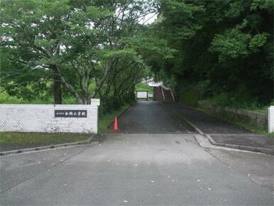 宮崎市立加納小学校