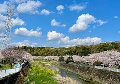 引地川親水公園