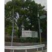 大学