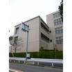 大学