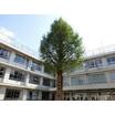 中学校