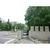 大学