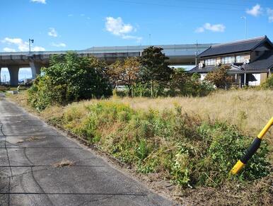 前面道路（南道路）　東より撮影