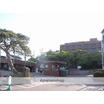 大学